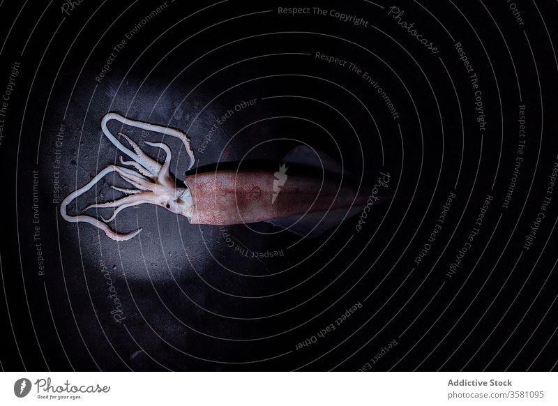 Rohe Tintenfische auf schwarzem Tisch roh ungekocht Fleisch Küche Schalen & Schüsseln Meeresfrüchte frisch Bestandteil Lebensmittel kulinarisch Rezept Filet