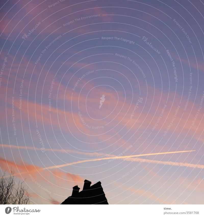 allmählich mal schlafen gehen himmel wolken kondensstreifen haus baum perspektive kippen rosa hellblau stimmung abend dämmerung blaue Stunde Silhouette dach