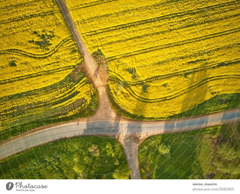 Schotterstraße im Rapsblütefeld, Frühling ländlich Luftaufnahme Straße Ackerbau Wiese Sommer Weg Feld Blume grün gelb Blüte Antenne Top Bauernhof Landschaft