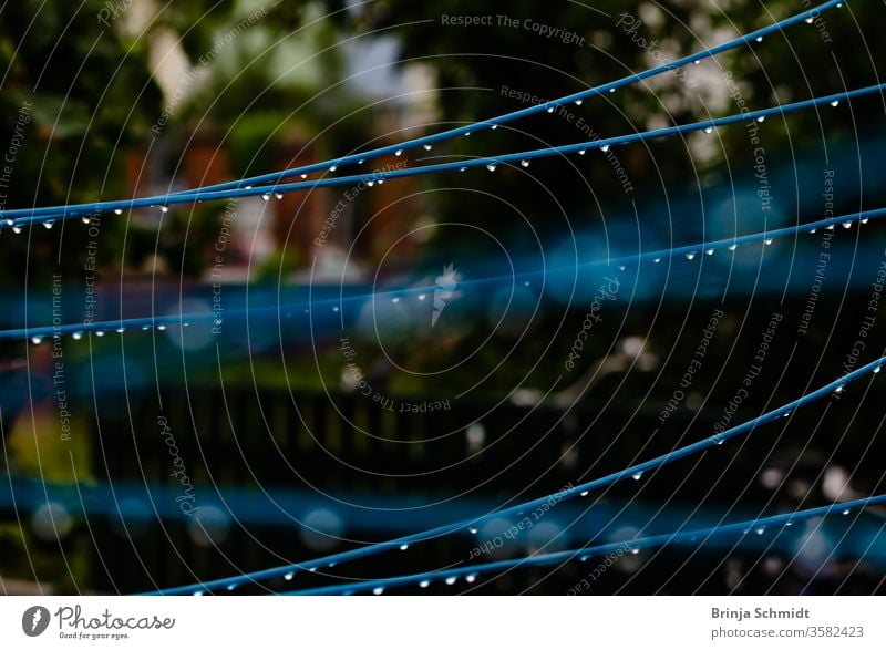 Viele blaue Wäscheleinen einer Wäschespinne reflektieren viele glänzende Regentropfen vor schönem Bokeh Wetter Makro abstrakt farbenfroh Farbe Kunststoff Linie