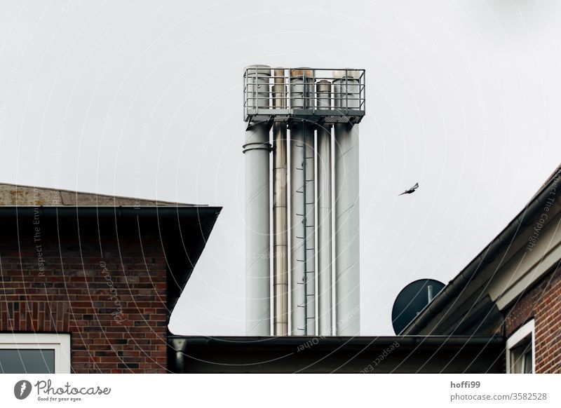 triste Schornsteine mit Vogel und Dach Abluft Lüftungsschacht Industriefassade Abgas Industrie Kullisse Fabrik Fassade Industrieanlage Umweltverschmutzung