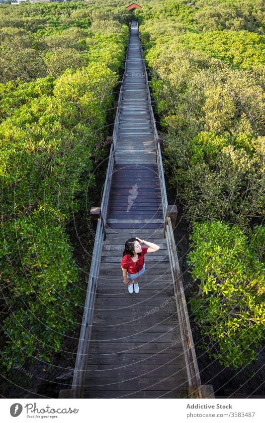 Junger Reisender steht auf Holzbrücke über Wald Tourist Brücke Tourismus malerisch Fernweh Harmonie Waldgebiet Haare berühren Grün Urlaub friedlich Sightseeing