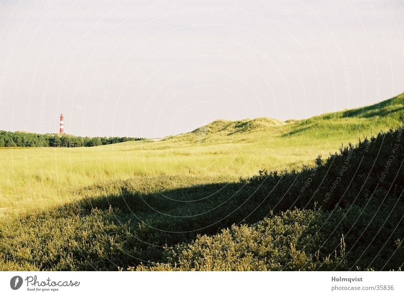 Dünenfeld grün Gras Leuchtturm Amrum Feld Wiese Deutschland Stranddüne Insel Norden Nordsee Ferne