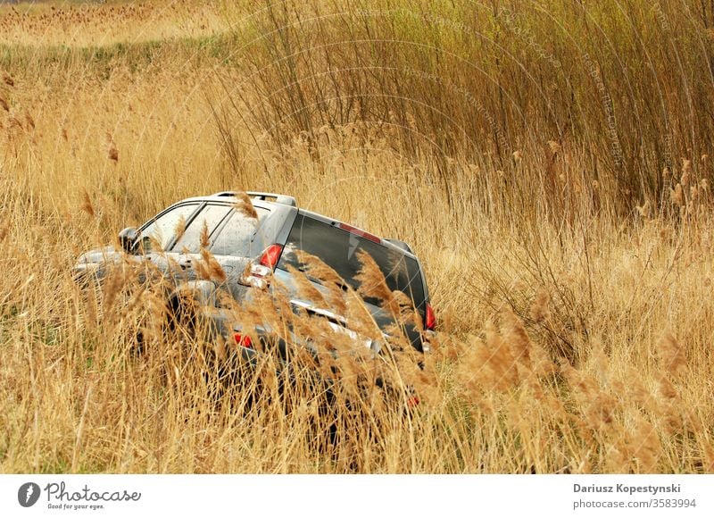 Geländewagen mit Geländewagen über hohes Gras PKW Auto Offroad Fahrzeug Wiese Abenteuer reisen Verkehr Tag Landschaft Natur Ausflug Urlaub suv toyota