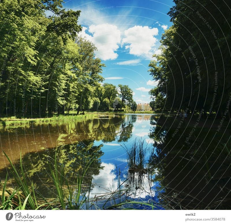 Herrschaftlich Park See Teich Ufer Seeufer Idylle Symmetrie grün Frühling Kontrast Totale Gräser Schlosspark Unschärfe Panorama (Aussicht) Ferne Schatten