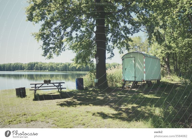 Wohnbereich Seeufer Natur Wasser Außenaufnahme Farbfoto Landschaft blau Menschenleer Pflanze Himmel Baum Sonnenlicht Schatten Kontrast Bank Sitzgelegenheit