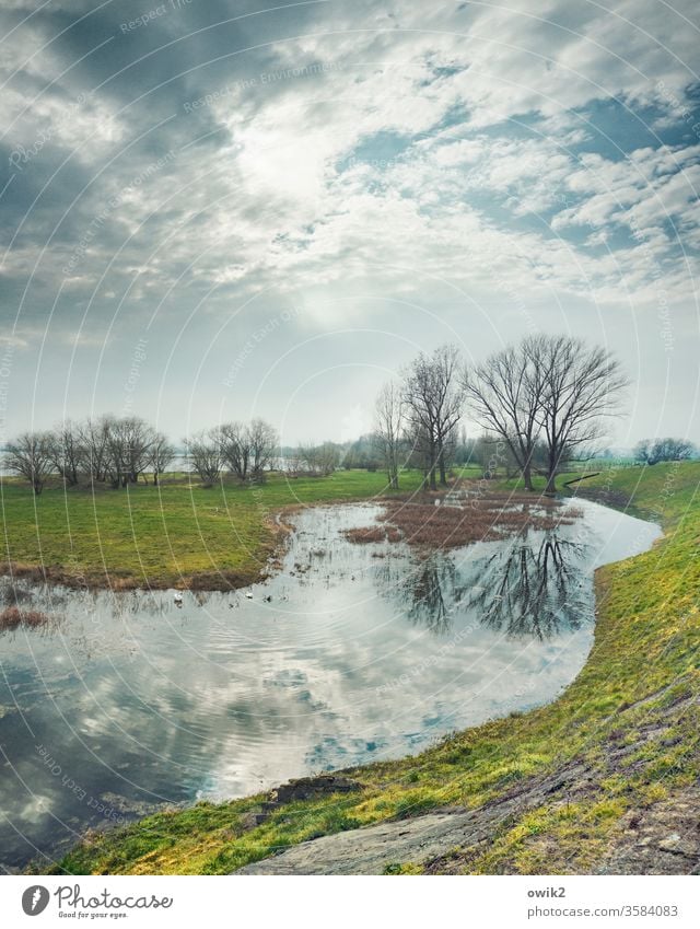 Elbwiesen Himmel Wolken Sonne Sonnenlicht Mühlberg Ostdeutschland Mühlberg/Elbe Brandenburg Fluss Nebenarm sumpfig Wasser Wasseroberfläche