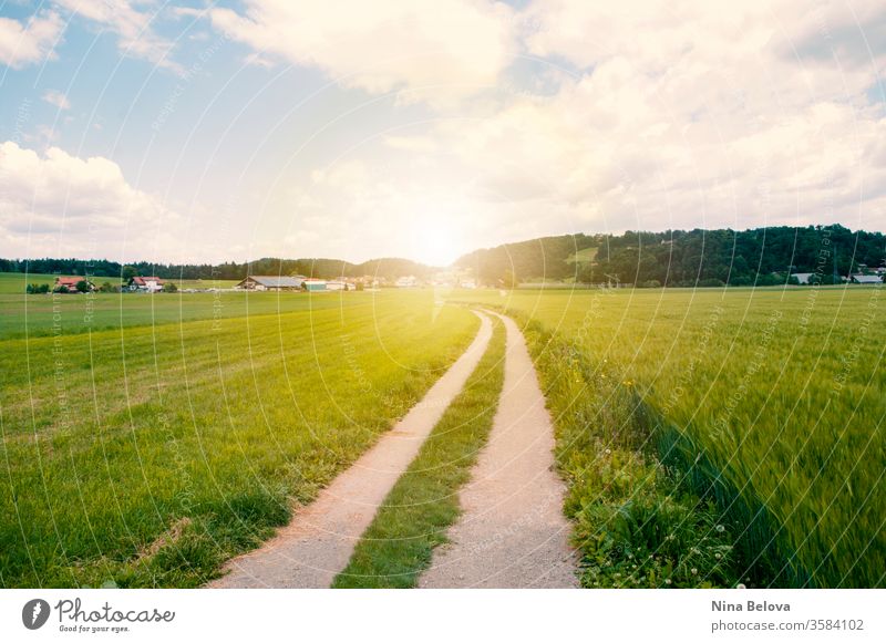 Die Straße führt durch ein Tal, grünes Feld, die Hügel bei Sonnenuntergang Himmel Landschaft Sonnenlicht idyllisch Wolken Ackerbau Wiese ländlich Ansicht