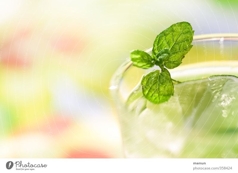 take a drink! Frucht Kräuter & Gewürze Limettenscheibe Zitronenmelisse Ernährung Getränk Erfrischungsgetränk Trinkwasser Limonade Alkohol Sekt Prosecco