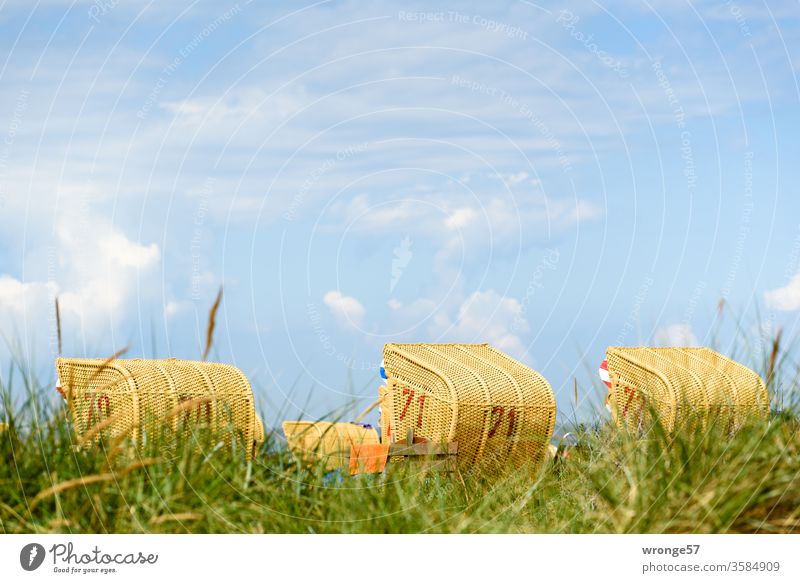 Strandkörbe hinter einer Düne am Ostseestrand bei Sonnenschein und blauem Himmel Stranddüne Ferien & Urlaub & Reisen Küste Sand Meer Sommer Erholung