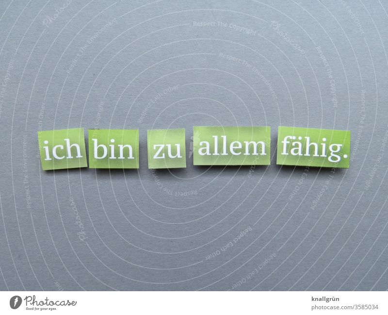 Ich bin zu allem fähig. gefährlich bedrohlich Warnung Warnhinweis Schilder & Markierungen Angst Hinweisschild Warnschild Buchstaben Wort Satz Schriftzeichen