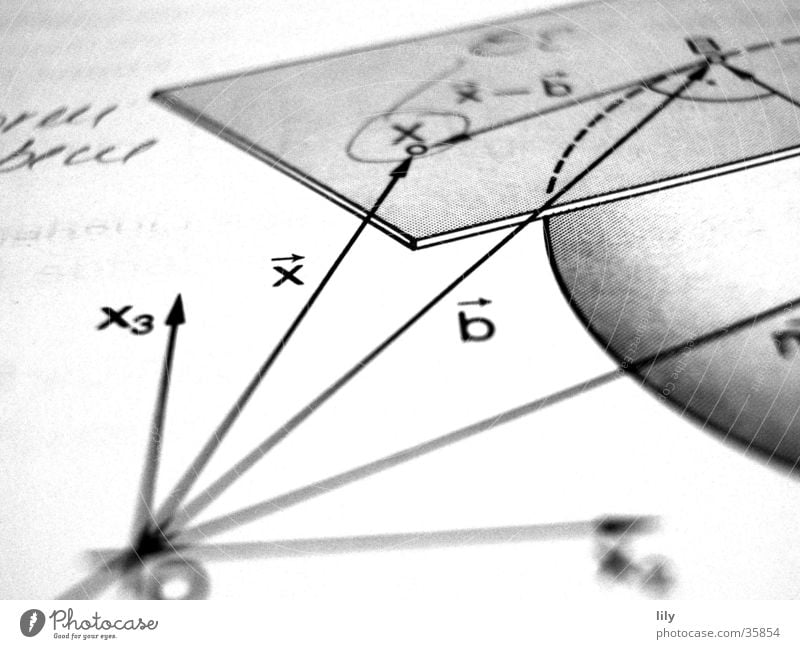 loving math #1 Mathematik Schulbücher Wissenschaften Leistungskurs Schule Schwarzweißfoto x Vektoren Faktoren Tangentialebene Kugel Niveau Analytische Geometrie