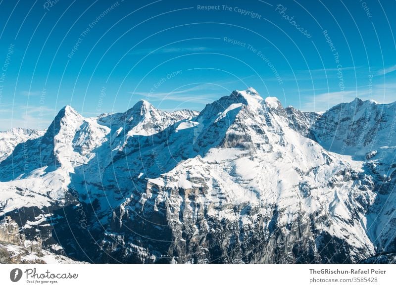 verschneite schweizer Berge Berge u. Gebirge Schnee Schweiz Schilthorn Winter Himmel Alpen Panorama (Aussicht) Eis kalt Außenaufnahme Landschaft Gipfel