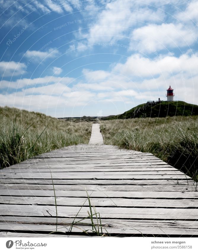 Ferien in rot weiß mit Sicht zum Meer Sand beach strandkorb strandkörbe Nordsee entspannend Urlaub Ferien & Urlaub & Reisen Sonne am Strand