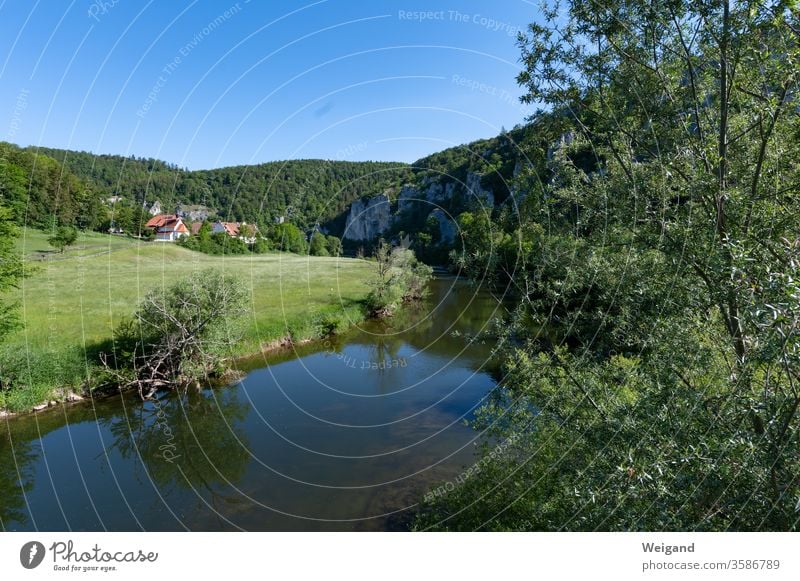 Oberes Donautal Fluss Idylle Baden-Württemberg Sommer Urlaub Heimat Ferien Ferien & Urlaub & Reisen Sehenswürdigkeit Landschaft Panorama Felsen