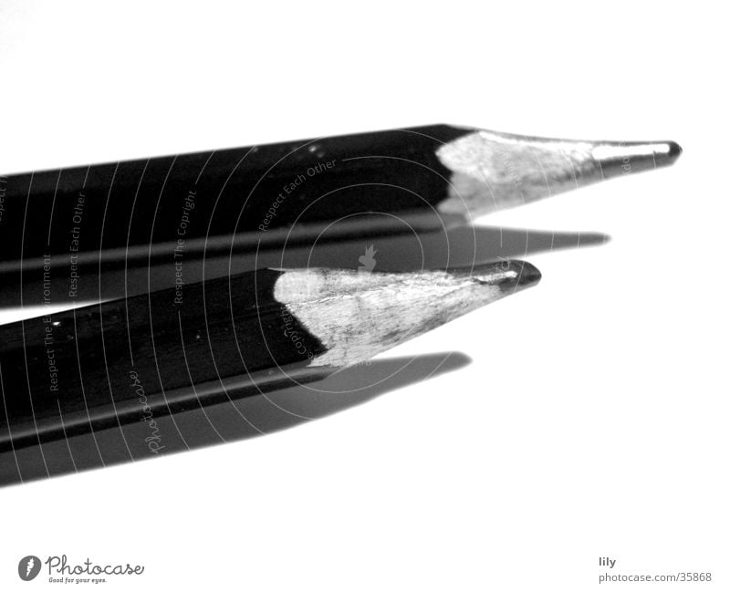 amerikan. Zedernholz meets bayr.Graphitgestein Schreibstift Bleistift zeichnen Makroaufnahme Nahaufnahme Spitze Schwarzweißfoto