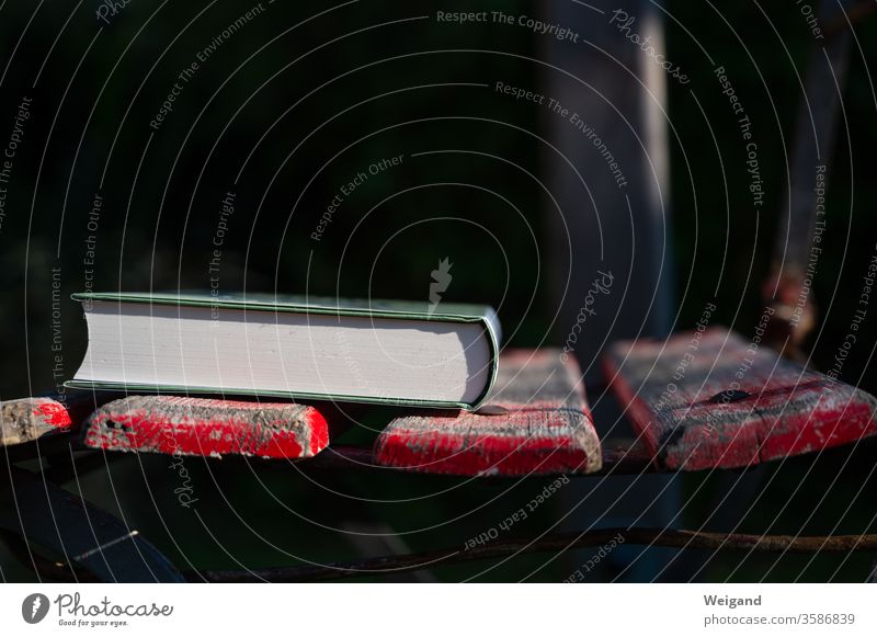 Buch auf Stuhl Freizeit Muße Literatur lesen Krimi Spannung Pause Sonntag Bildung Roman Studium Printmedien Wissen Lesestoff Zeit Ruhe