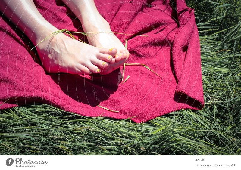 Sommerfüße II Freude Nagellack Erholung Ferien & Urlaub & Reisen Freiheit Sommerurlaub Sonnenbad Mensch feminin Junge Frau Jugendliche Erwachsene Fuß 1