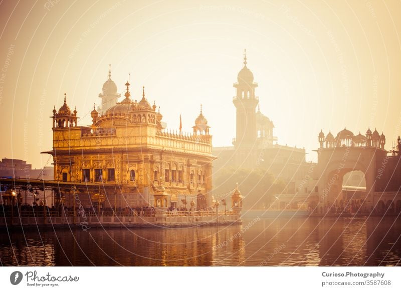 Goldener Sikh-Gurdwara-Tempel (Harmandir Sahib). Amritsar, Punjab, Indien golden Glanz Turm reisen Moschee Murmel gurdwara Wahrzeichen Anbetung Symbol