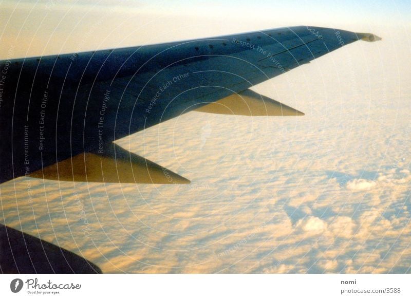 Wolkenblick Tragfläche Flugzeug Licht fliegen Sonne hoch oben