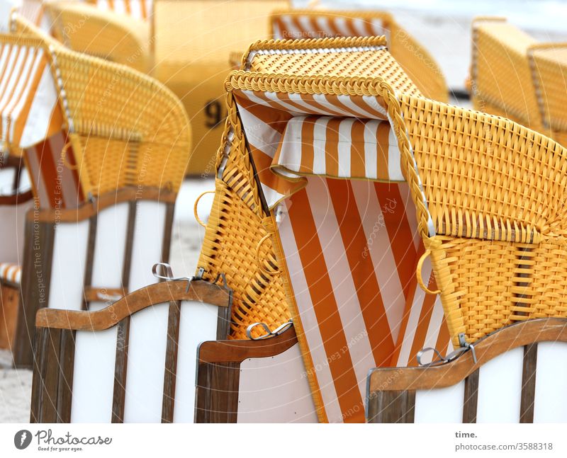 kollektiv individuell strandkorb urlaub ostsee reisen erholung leer sitzen erholen pause wohlfühlen viele gemeinsam zusammen dach schutz Windschutz