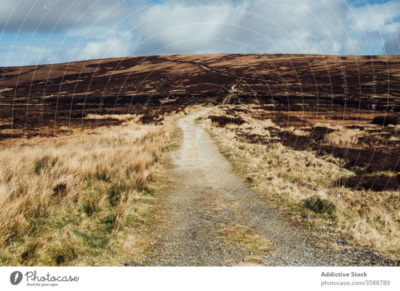 Ländliche Fahrbahn in endlosen Hochlandfeldern trocknen Natur Straße Feld Republik Irland Gelände Umwelt Gras Landschaft malerisch ländlich friedlich Ansicht