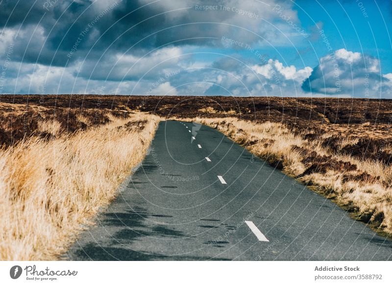 Gepflasterte Strecke in ländlicher Landschaft mit blauem Himmel Straße Route Feld trocknen Blauer Himmel Republik Irland Brandwunde Umwelt malerisch Fahrbahn