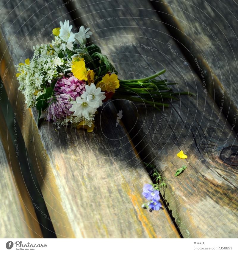 Sommergruß Valentinstag Muttertag Hochzeit Frühling Blume Blüte Blühend Duft mehrfarbig Gefühle Stimmung Liebe Verliebtheit Romantik Sommerblumen Blumenstrauß