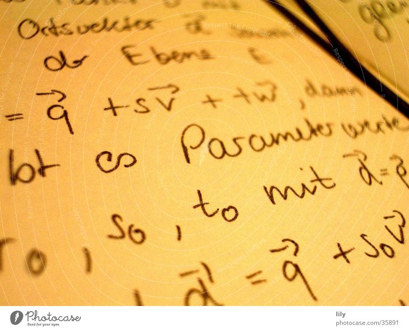 liebes (Mathe-) Tagebuch... lesen Mathematik Zettel Notizbuch Buch Wissenschaften Schriftzeichen schreiben lernen Parameter Vektoren Merksatz Studium