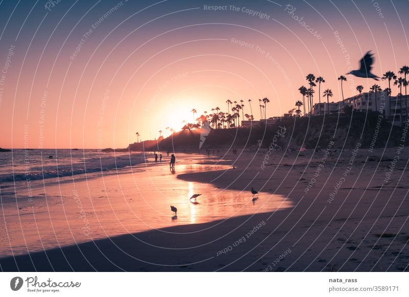 Laguna Beach im schönen violetten Licht des Sonnenuntergangs Strand Orange County Kalifornien Meer pazifik Küste Ansicht Natur südländisch Küstenstreifen purpur