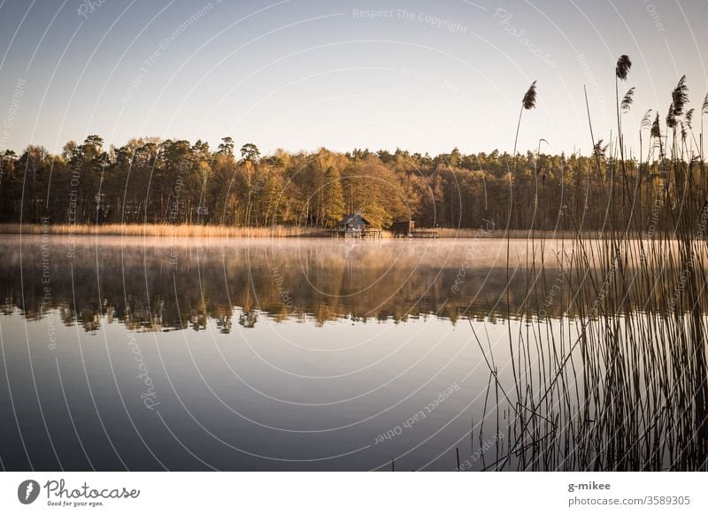 Bootshaus am See Sonnenaufgang Morgens Stille Ruhe Frieden Wärme Natur Wald Wasser Landschaft Ferien & Urlaub & Reisen Farbfoto Außenaufnahme