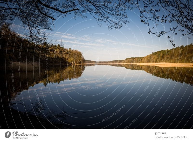 Morgens am See Natur Landschaft Spiegelung Wasser Schorfheide ruhig Außenaufnahme Menschenleer Umwelt Reflexion & Spiegelung Tag Baum stille Farbfoto