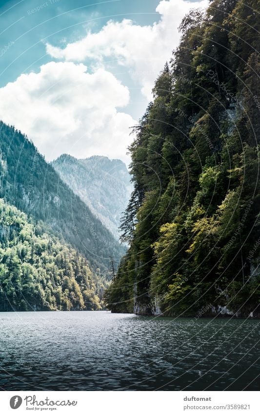 Blick über den Königsee, vom Wasser aus. Bergblick Berchtesgadener Alpen Schiff Berchtesgadener Land Berge Königseeschiffahrt Schifffahrt Tourismus blau grün