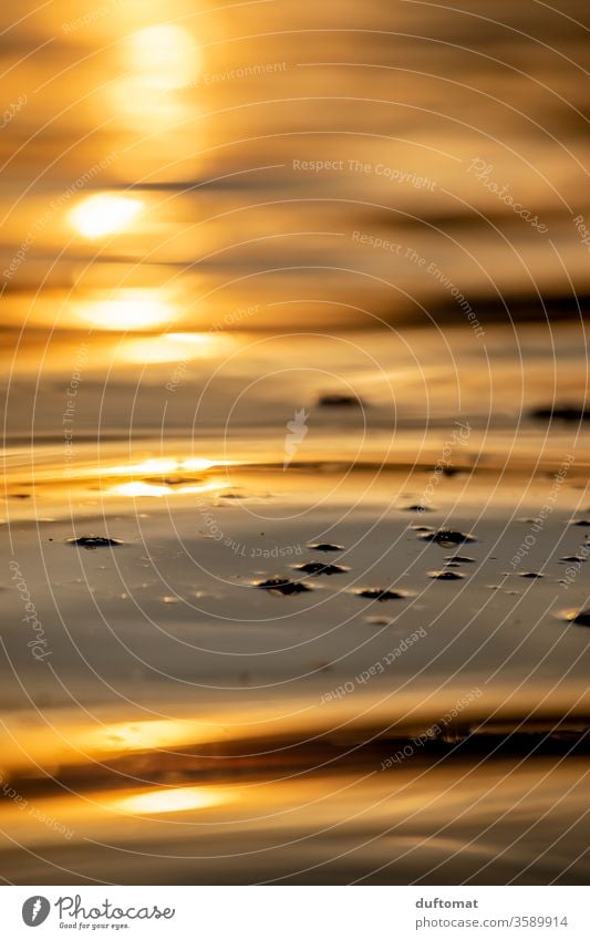 Sonnenuntergang am See, Close Up der Wasseroberfläche wasser Abenddämmerung Spiegelung dof Unschärfe Reflexion & Spiegelung Dämmerung ruhig Natur Erholung