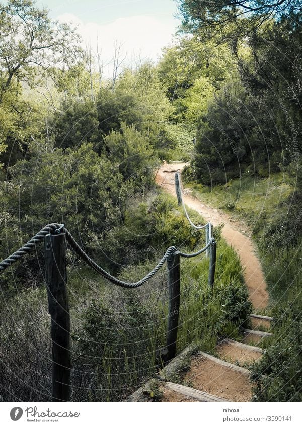 pfad toskana Toskana Weg Wanderung im Freien Italien Ferien & Urlaub & Reisen Außenaufnahme Natur wandern Farbfoto Landschaft Fernweh Tourismus Wandertag