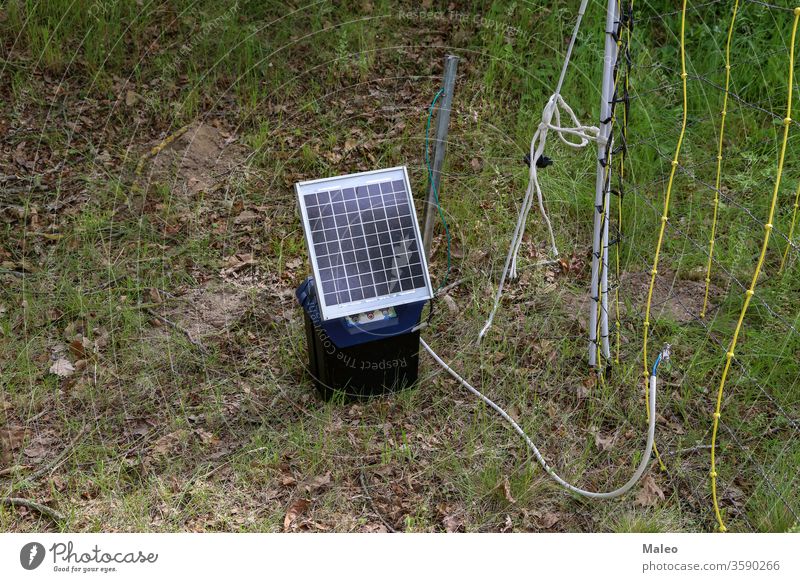 solarzellenbetriebener elektrischer Schäferhund auf der Weide Energie Zaun Viehbestand klein Ackerbau alpin Alpen alternativ Batterie Kabel Zelle Erhaltung