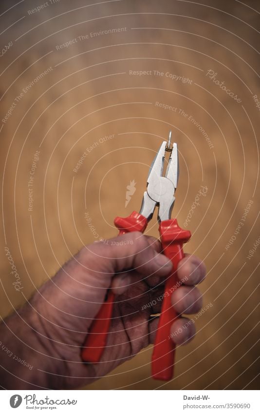 einen Nagel mit der Zange gezogen / Nagelzange Hand Werkzeug Handwerker Heimwerker Farbfoto Arbeit & Erwerbstätigkeit Innenaufnahme Baustelle Tag Nahaufnahme