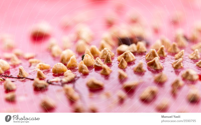 Nahaufnahme eines Fliegenpilzes Pilz Makro Rot Fruchtkörper Rot weiß Kreativ Gift Farbfoto Natur Pilzhut Pilze pilze suchen pilze sammeln fliegenpilzhut Umwelt