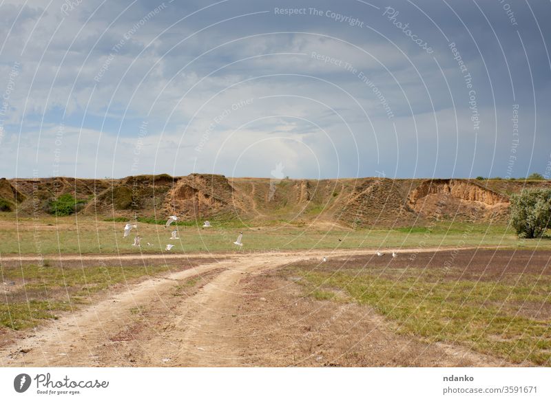 Blick auf die Sandhänge in der Nähe der Dnjepr-Bug-Mündung. Sommertag Ukraine Landschaft Natur Vogel grün im Freien Gras Steppe Hintergrund Feld Himmel ländlich