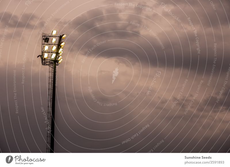 Helle Lichter im Sportstadion an einem bewölkten Abend Stadion Sportplatz Flutlicht Silhouette leuchten wolkig Glanz Glühbirne hell Unwetter stürmisch