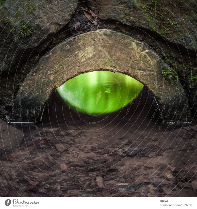 Durchblick Landwirtschaft Forstwirtschaft Baustelle Auge Umwelt Wasser Bach Bauwerk Architektur Aquädukt Mauer Wand Stein glänzend leuchten Blick