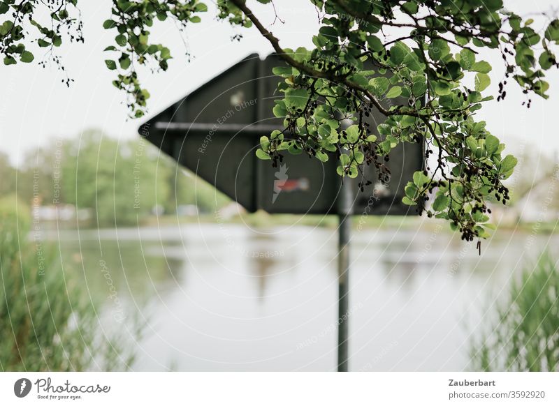 Da lang - richtungsweisendes Schild hinter Zweigen am Ufer der Havel bei Oranienburg Richtung Pfeil Fluss Schilf Wasser Spiegelung grün links Idylle