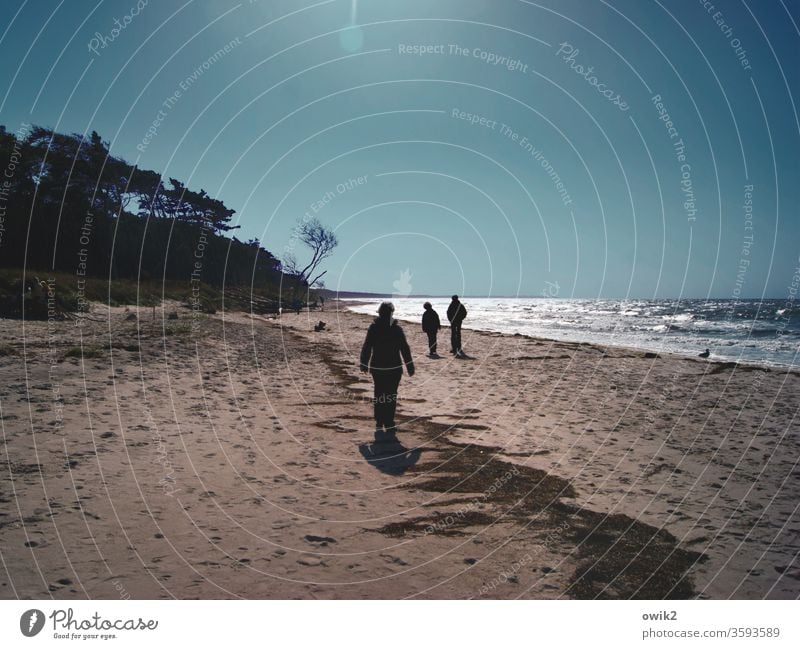 Voraustrupp Ausflug Ferne Freiheit Mensch wandern Umwelt Natur Landschaft Horizont Wolken Himmel Wasser Sand Schönes Wetter Wind Küste Ostsee Außenaufnahme