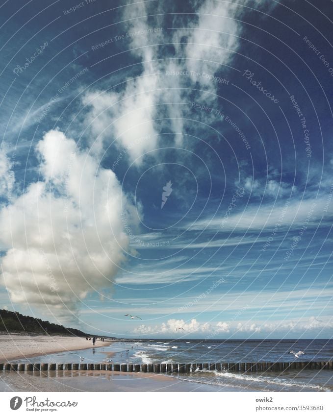 Polnische Ostsee Polen Küste maritim Himmel Wolken Urelemente Luft Wasser Wellen Weite Sand Sandstrand Idylle blau weiß Landschaft einsam Umwelt Horizont Meer