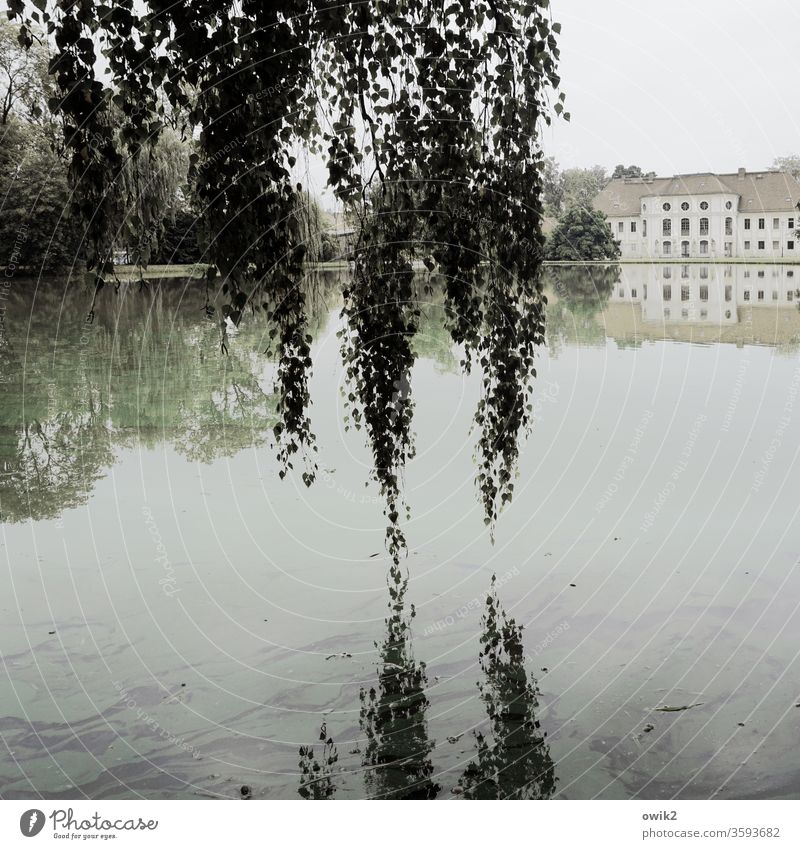 Die Hängenden Gärten von Königswartha Sachsen Lausitz Ostdeutschland Außenaufnahme draußen Horizont Landschaft Umwelt Idylle Baum Schönes Wetter