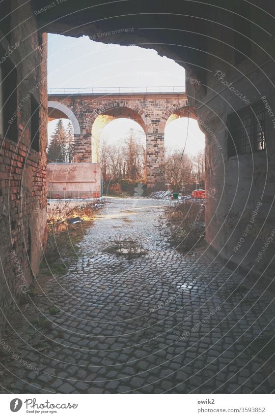 Endzeitstimmung Durchgang Ruine Abrissgebäude Durchblick Viadukt Sträucher trashig verlassen Kopfsteinpflaster Mauer düster gefährlich Bronx Wand Farbfoto