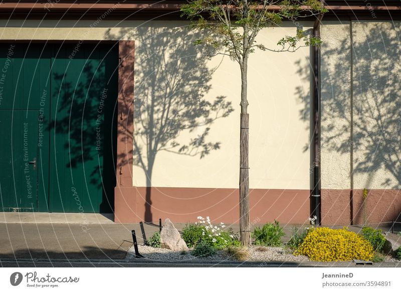 Wand mit einem schattenspiel der Bäume davor Schatten Baum Außenaufnahme Hauswand Tür Schattenspiel dunkelgrün gehsteig trottoir Licht Menschenleer Fassade