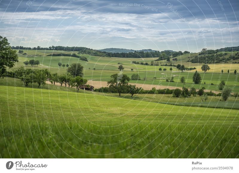 Neulich beim Spaziergang in der Heimat.. Meadow wiese gras Mauer baum tree Landschaft Natur Wetter Sommer summer Wolken Himmel sky Gebirge britain Schottland