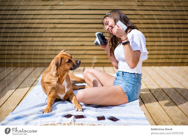 Fröhliche Frau beim Fotografieren eines Hundes fotografieren Sommer heiter Zusammensein sofort Fotoapparat Glück Freund jung positiv Besitzer sonnig Terrasse