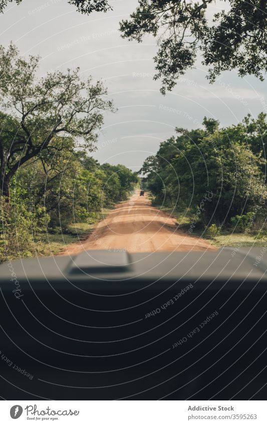 Panoramablick auf Sandstraße mit Autos im Wildpark Safari Straße geschlängelt PKW Tierwelt Park Savanne Landschaft malerisch Fahrbahn Automobil Sommer wolkig